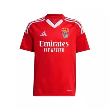 Спортивная футболка ADIDAS PERFORMANCE Performance Benfica 24/25, красный