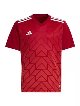 Спортивная футболка ADIDAS PERFORMANCE Performance, цвет Red/Wine red