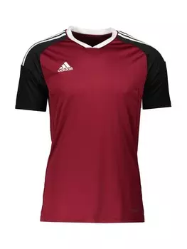 Спортивная футболка ADIDAS PERFORMANCE Performance, цвет Wine red