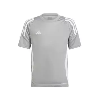 Спортивная футболка ADIDAS PERFORMANCE Performance Tiro 24, серый