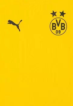 Спортивная футболка BVB BORUSSIA DORTMUND TRAINING JR UNISEX Puma, желтый