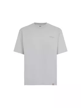 Спортивная футболка DICKIES PLENTYWOOD, серый