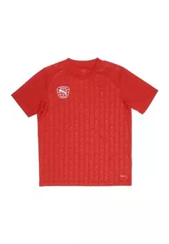 Спортивная футболка Fussball Puma, цвет rot