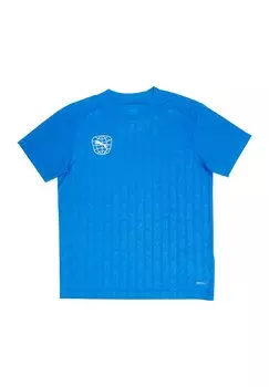 Спортивная футболка Fussball Puma, синий