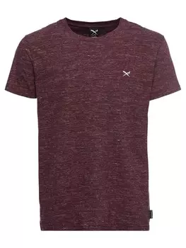 Спортивная футболка Iriedaily Chamisso, цвет Wine red