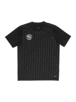 Спортивная футболка Puma, черный