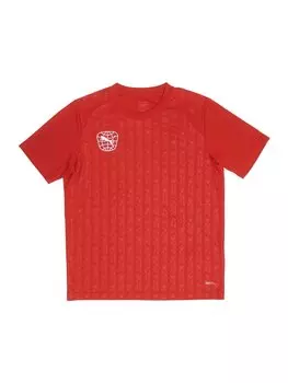 Спортивная футболка Puma, красный