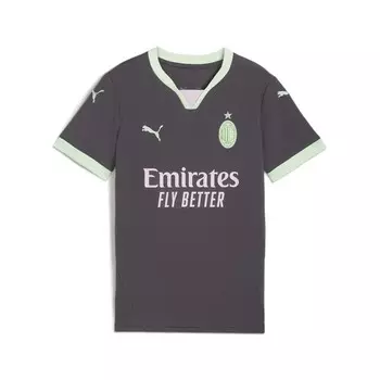 Спортивная футболка PUMA Performance AC Milan 24/25, темно-серый