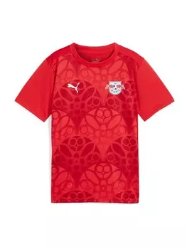 Спортивная футболка PUMA Performance, цвет Red/Dark red
