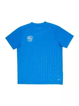 Спортивная футболка Puma, синий