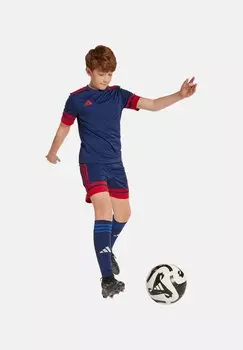 Спортивная футболка SQUADRA SHORT SLEEVE adidas Performance, синий