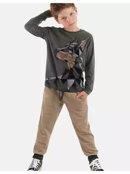 Спортивная куртка Denokids SeDoberman, цвет anthra melange