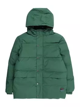 Спортивная куртка Element BIG TREKKA, зеленый