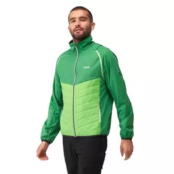 Спортивная куртка Regatta Steren Hybrid softshell, зеленый
