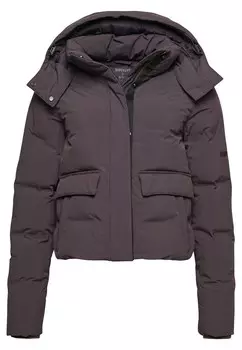 Спортивная куртка Superdry, цвет Aubergine