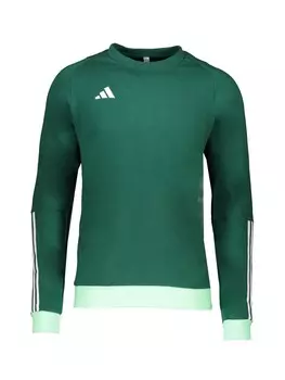 Спортивная толстовка ADIDAS PERFORMANCE Tiro 23 Competition, цвет Emerald/Mint