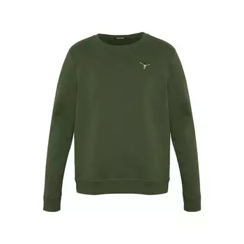 Спортивная толстовка Chiemsee, темно-зеленый