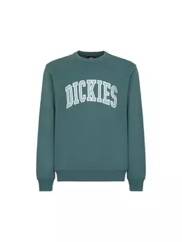 Спортивная толстовка DICKIES AITKIN, синий