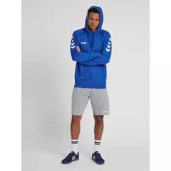 Спортивная толстовка Hummel, цвет blau/grau/grau