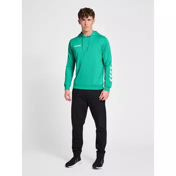Спортивная толстовка Hummel, цвет karibikgrn/grn/grn