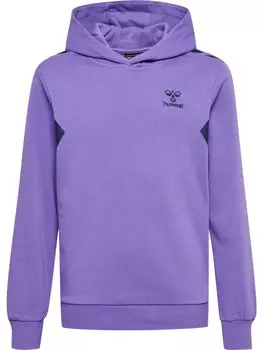 Спортивная толстовка Hummel Staltic, фиолетовый