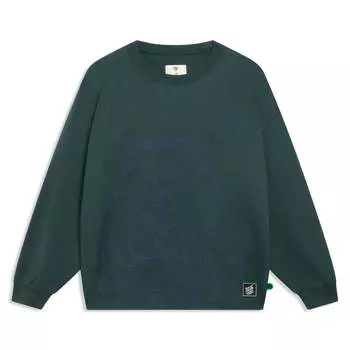 Спортивная толстовка Li-Ning BadFive Graphic Sweatshirt 'Green' AHSSF27-2, зеленый