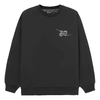 Спортивная толстовка Li-Ning x DFT Way Of Wade Graphic Sweatshirt 'Black' AWDRE79-1, черный