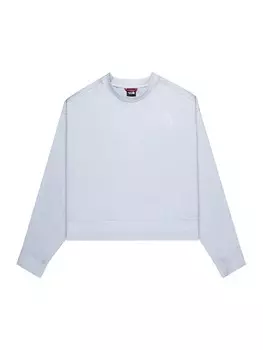 Спортивная толстовка THE NORTH FACE Athletic, светло-голубой