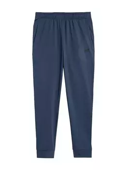 Спортивные брюки 4F Regular Workout Pants, морской синий