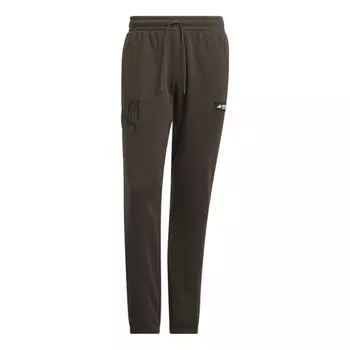 Спортивные брюки Adidas Originals Pants IL2398, коричневый