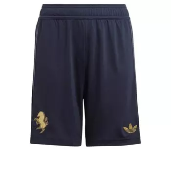 Спортивные брюки ADIDAS PERFORMANCE Regular Workout Pants Juventus, синий