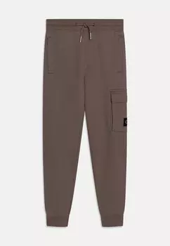 Спортивные брюки BADGE RELAXED Calvin Klein Jeans, бежевый
