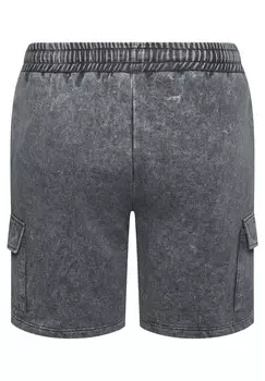 Спортивные брюки BadRhino, серый