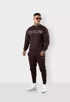 Спортивные брюки BASIC 2.0 ESTEEM, темно-коричневый