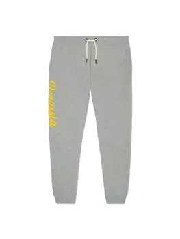 Спортивные брюки BVB Merchandising GmbH, серый