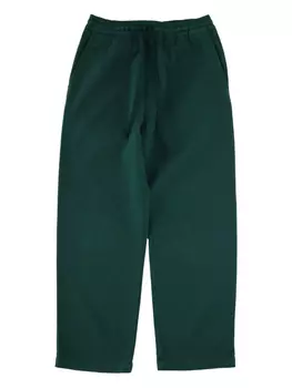 Спортивные брюки Carhartt WIP из хлопковой смеси, зеленый