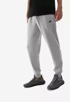 Спортивные брюки CASUAL 4F, холодный светло-серый меланж