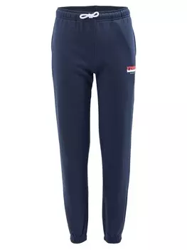 Спортивные брюки Champion Elastic Cuff Pants, синий