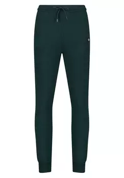 Спортивные брюки CHANCE JR America Today, темно-зеленый