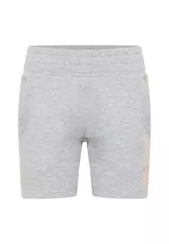 Спортивные брюки CLINE Bruno Banani, серый