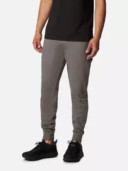 Спортивные брюки Columbia CSC Logo Fleece Jogger II, серый