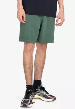 Спортивные брюки Cornell 3.0 Element, цвет grt
