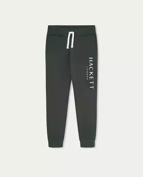 Спортивные брюки для мальчиков с контрастным логотипом Hackett, зеленый