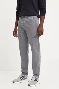 Спортивные брюки Drew Peak The North Face, серый