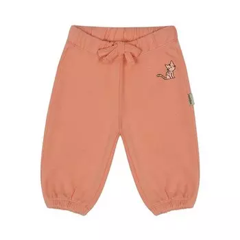 Спортивные брюки-джоггеры с вышивкой кота ANTEBIES