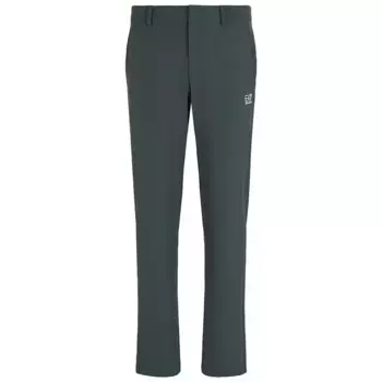 Спортивные брюки EA7 EMPORIO ARMANI 7M000195_AF13554, серый