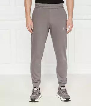 Спортивные брюки EA7 Regular Fit, пепельно-серый