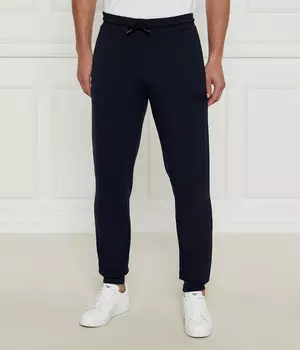 Спортивные брюки EA7 Regular Fit, темно-синий