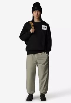 Спортивные брюки EASWIND The North Face, серый