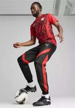 Спортивные брюки EFA PREMATCH Puma, черный
